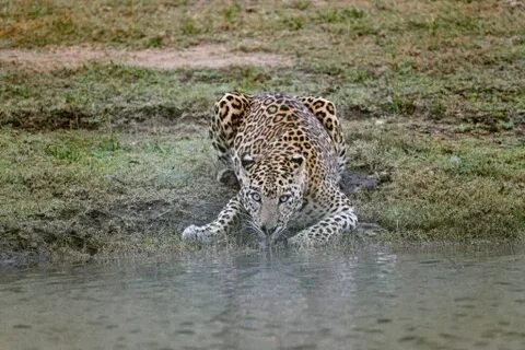 Canoe Safari in Satpura